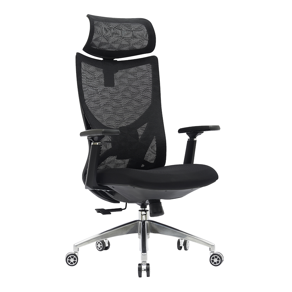 Fotel Biurowy Obrotowy Ergonomiczny AX800 Krzesło do Domu Biura LYNXER